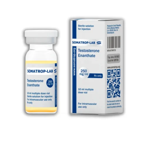 Somatrop Lab - Testosterone Enanthate 250mg/ml Somatrop Lab - Testosterone Enanthate 250mg/ml